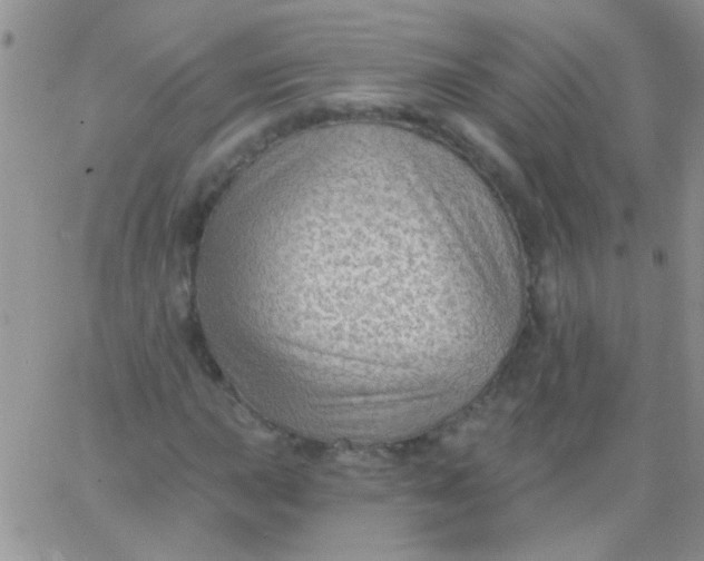 X0000065971015200603172045