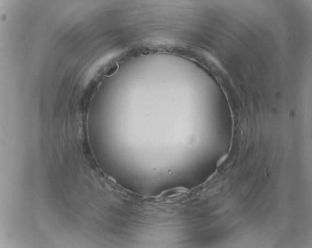 X0000065971016200603172045