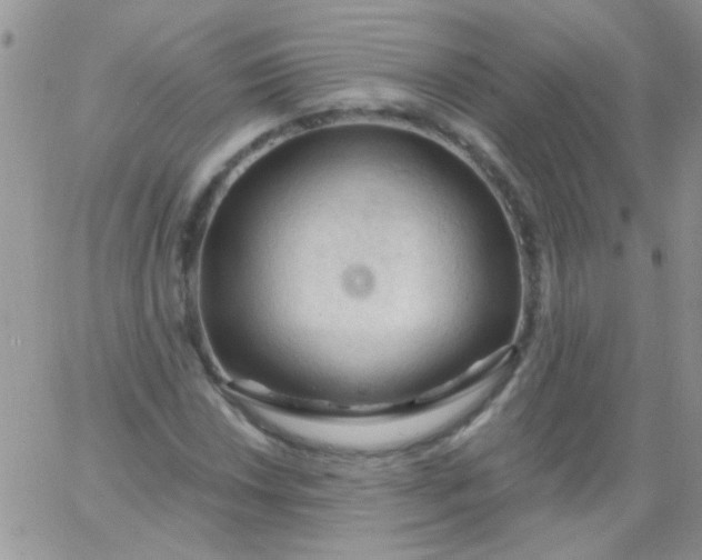 X0000065971018200603172045