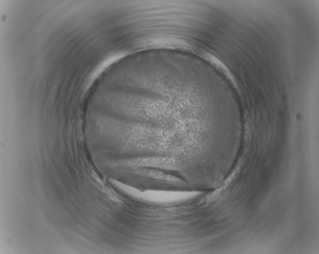 X0000065971019200603172045