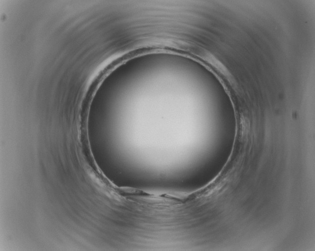 X0000065971020200603172045