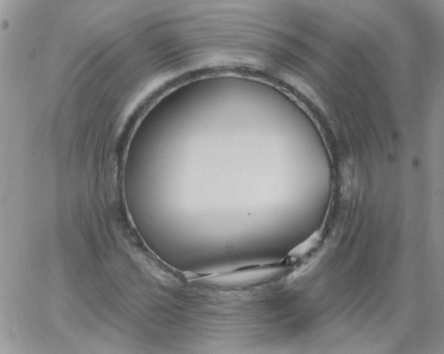 X0000065971021200603172045