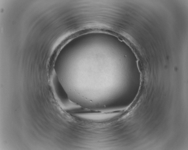 X0000065971022200603172045