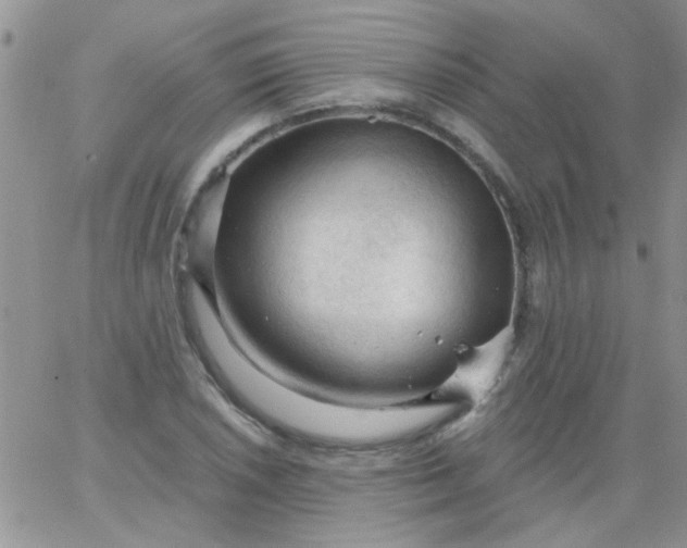 X0000065971026200603172045