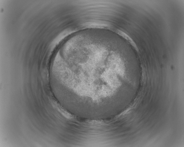 X0000065971027200603172045