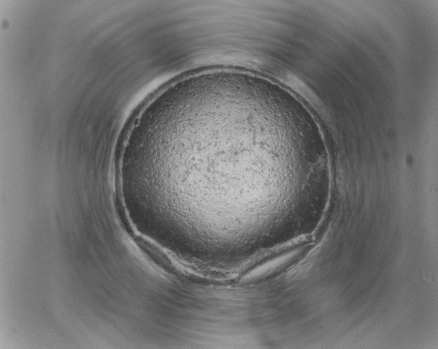 X0000065971028200603172045