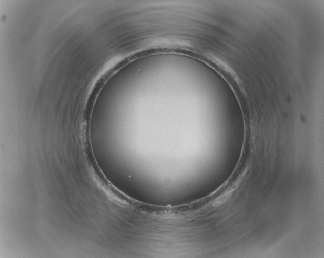 X0000065971029200603172045