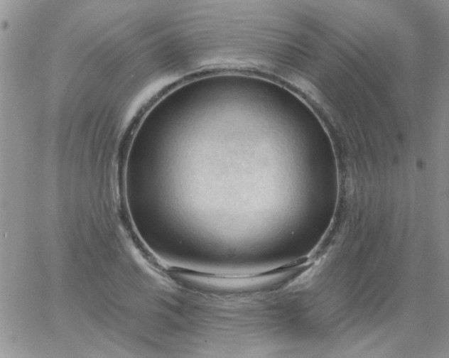 X0000065971030200603172045