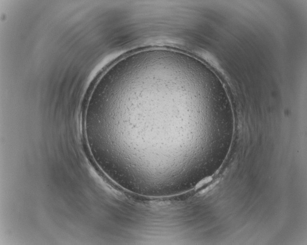 X0000065971032200603172045