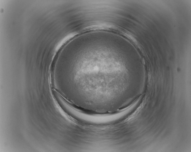 X0000065971034200603172045