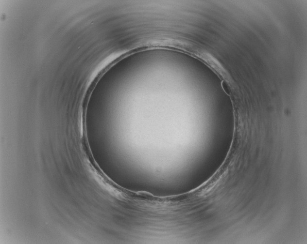 X0000065971036200603172045