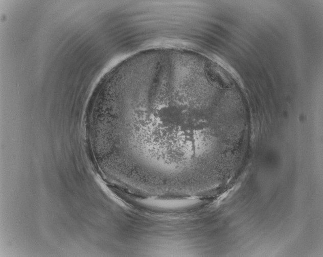 X0000065971037200603172045