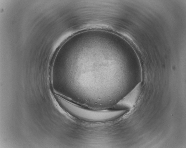 X0000065971038200603172045