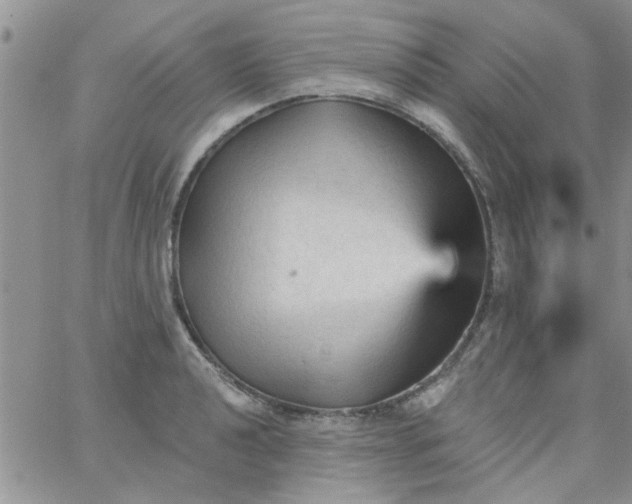 X0000065971040200603172045