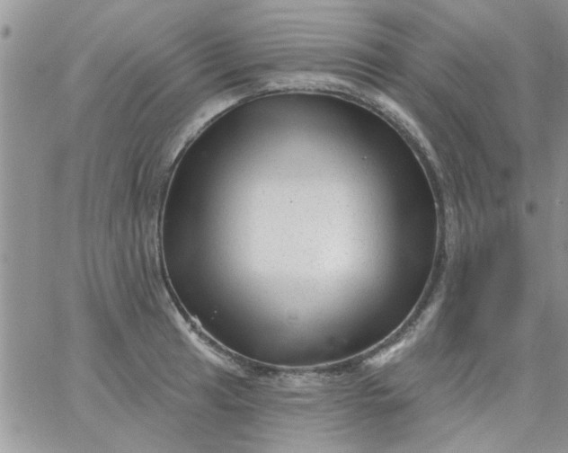 X0000065971041200603172045