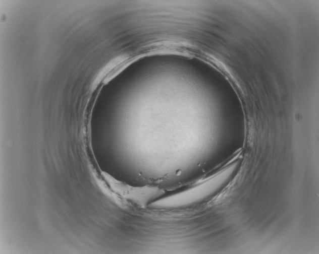 X0000065971042200603172045