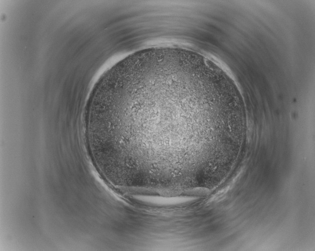 X0000065971045200603172045