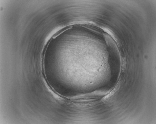 X0000065971046200603172045