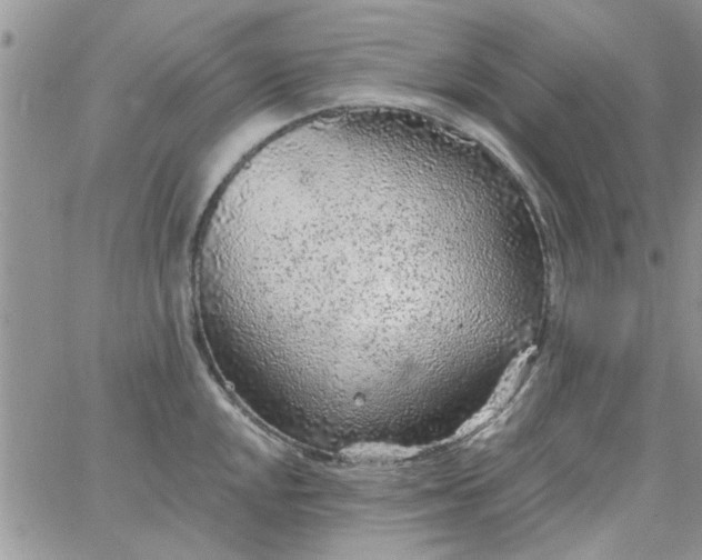 X0000065971048200603172045