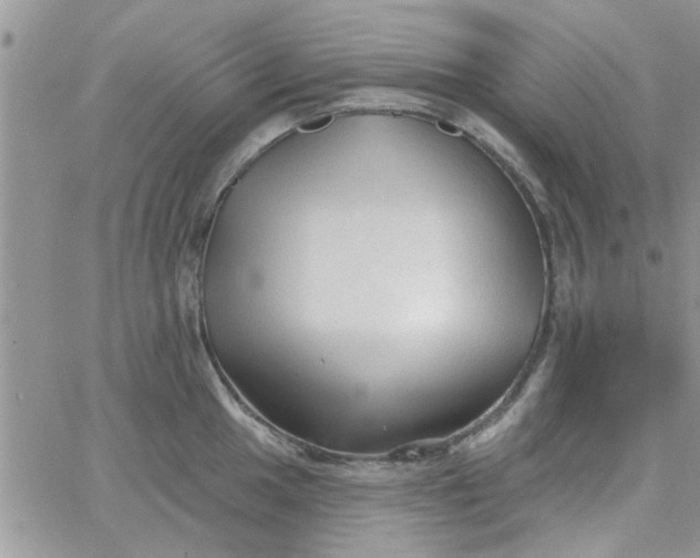 X0000065971049200603172045