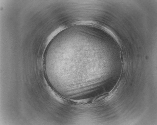 X0000065971050200603172045