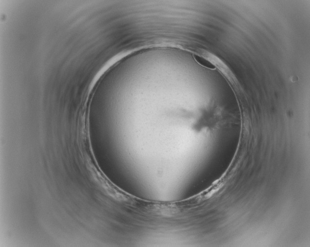 X0000065971052200603172045