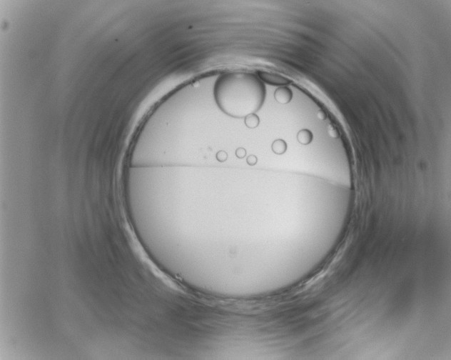 X0000065971053200603172045