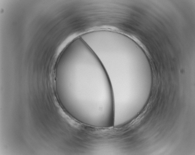 X0000065971054200603172045