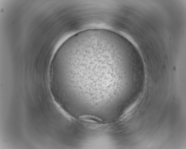 X0000065971056200603172045