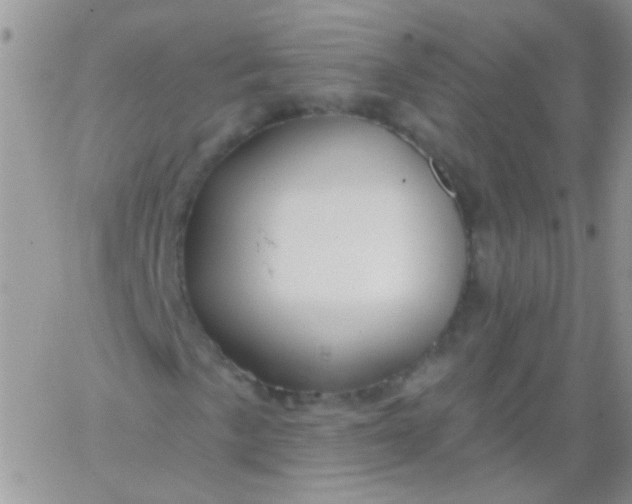 X0000065971057200603172044