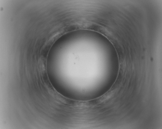 X0000065971058200603172044