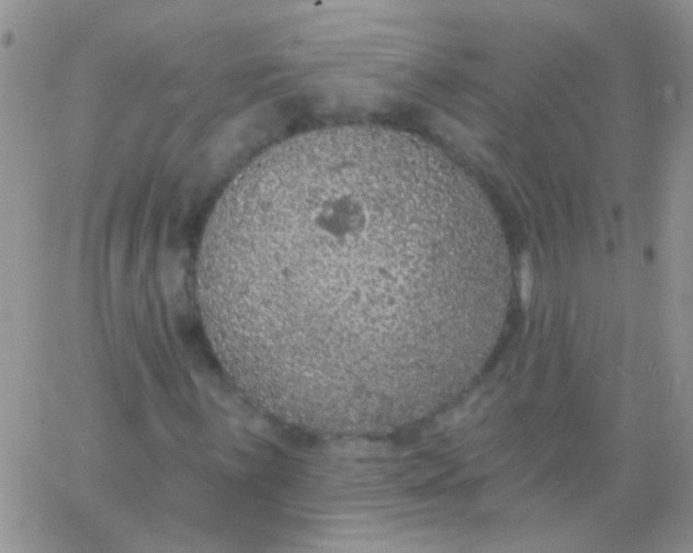 X0000065971059200603172044