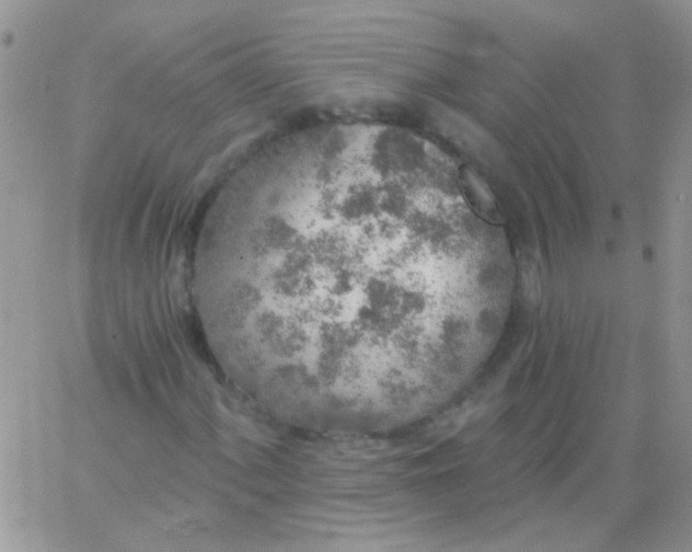 X0000065971060200603172044