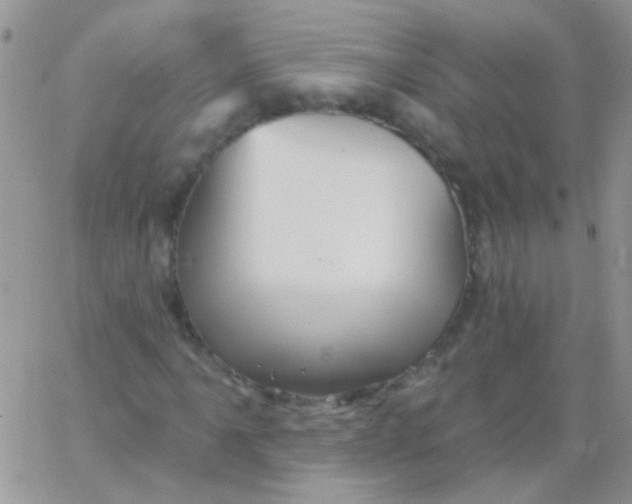 X0000065971061200603172044