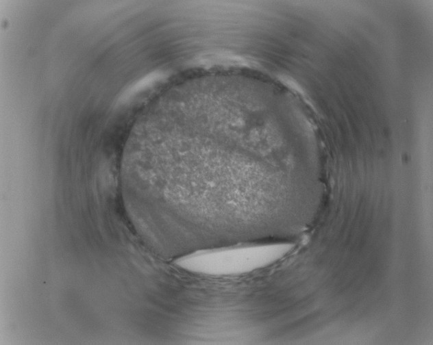 X0000065971063200603172044