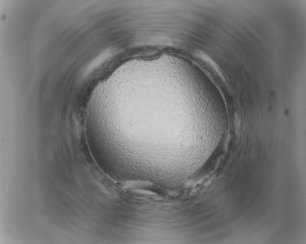 X0000065971064200603172044