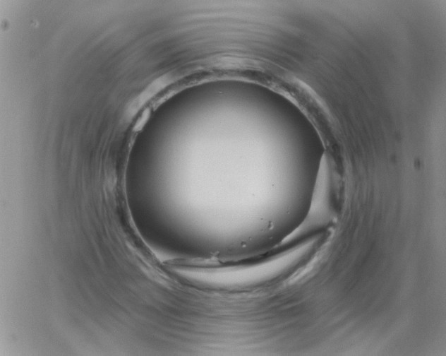 X0000065971065200603172044