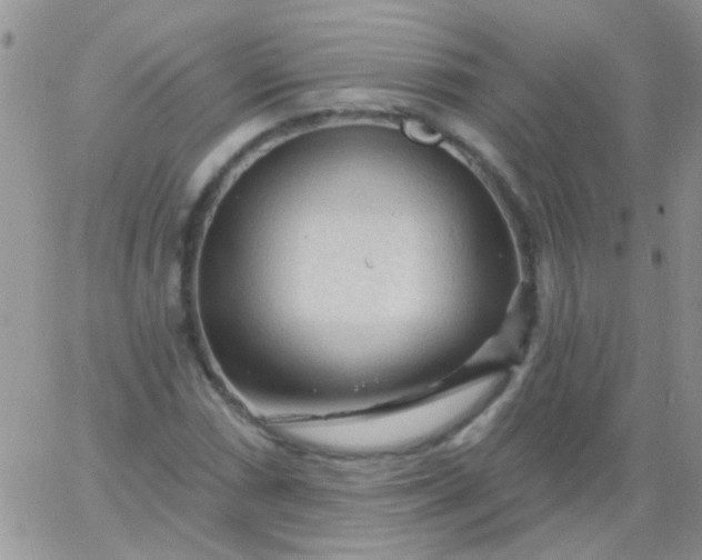 X0000065971066200603172044