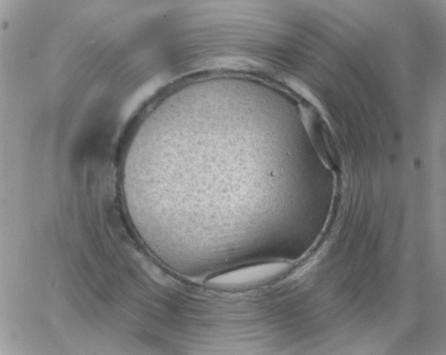 X0000065971067200603172044