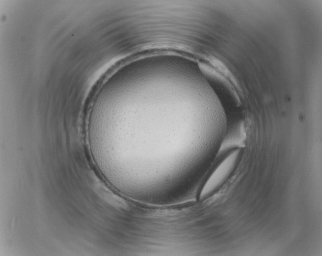 X0000065971068200603172044