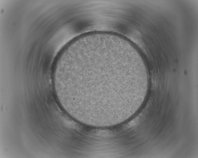 X0000065971070200603172044