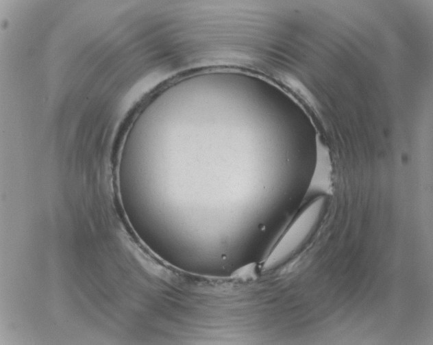 X0000065971072200603172044