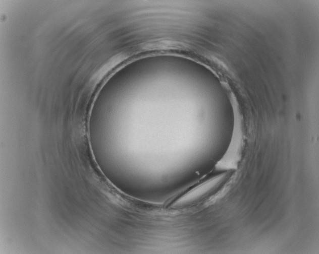 X0000065971073200603172044