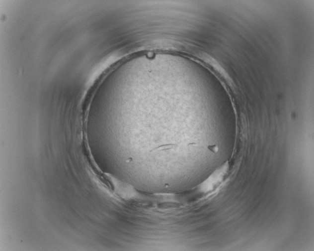 X0000065971075200603172044