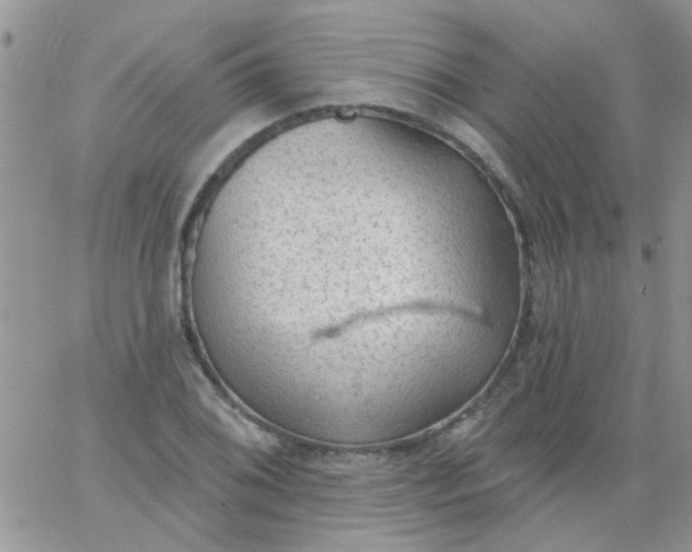 X0000065971076200603172044