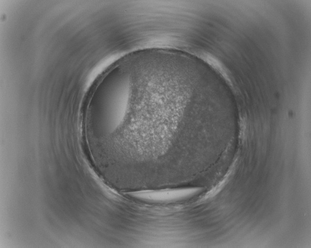 X0000065971077200603172044