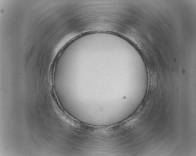 X0000065971078200603172044