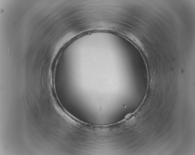 X0000065971080200603172044