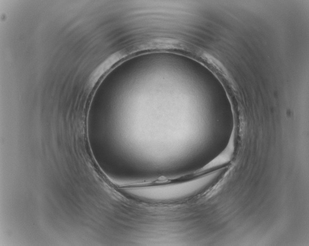 X0000065971081200603172044