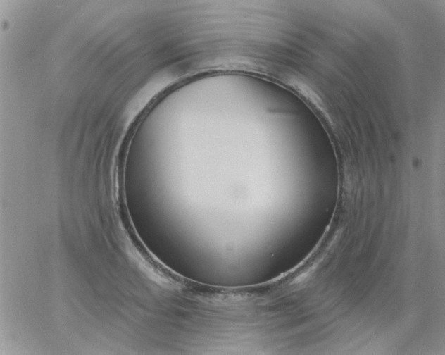 X0000065971082200603172044